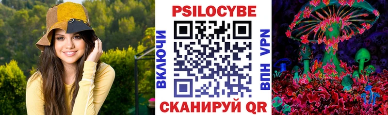 Псилоцибиновые грибы GOLDEN TEACHER Камешково